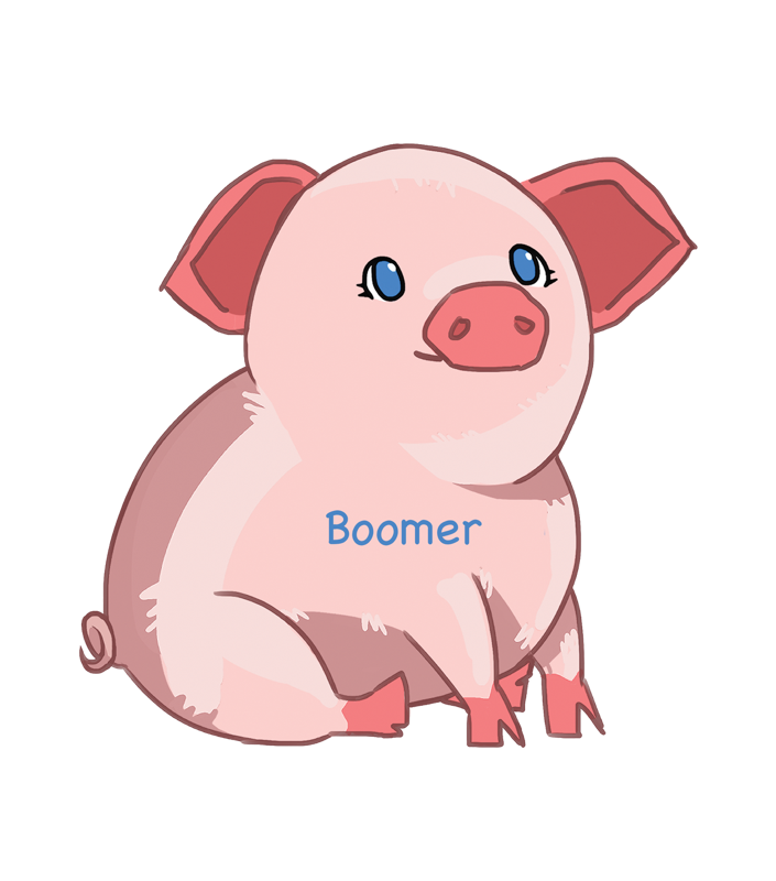 Boomer